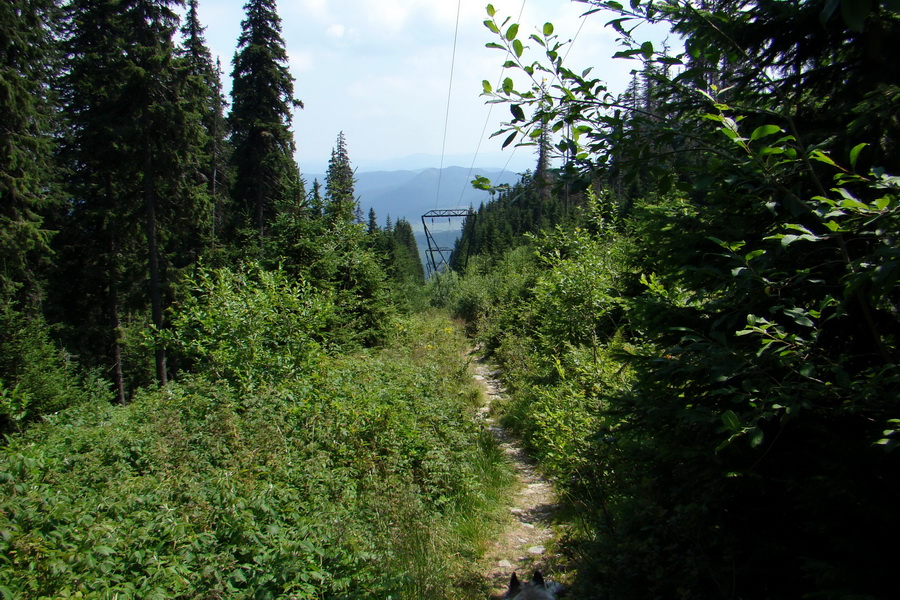 Kráľova hoľa z Andrejcovej (Nízke Tatry)