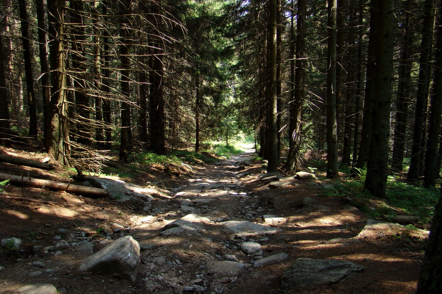 Kráľova hoľa z Andrejcovej (Nízke Tatry)