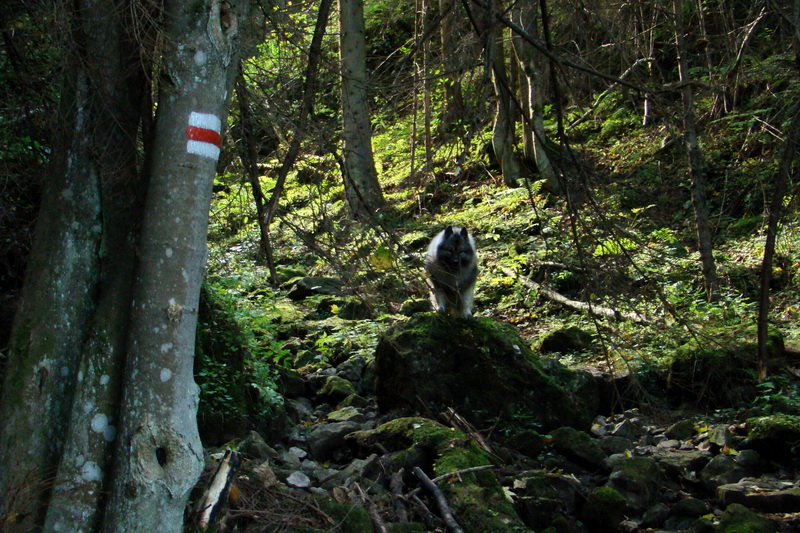 Ohnište s nocľahom - 1 deň (Nízke Tatry)