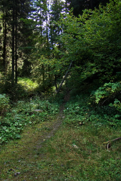 Ohnište s nocľahom - 1 deň (Nízke Tatry)