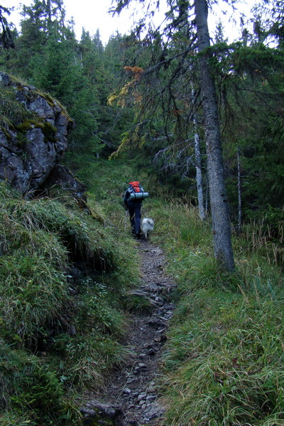 Ohnište s nocľahom - 1 deň (Nízke Tatry)