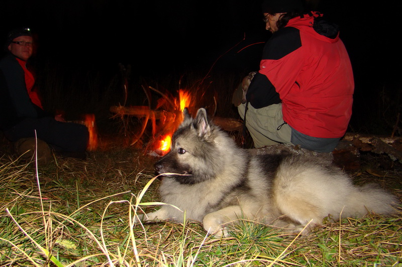 Ohnište s nocľahom - 1 deň (Nízke Tatry)