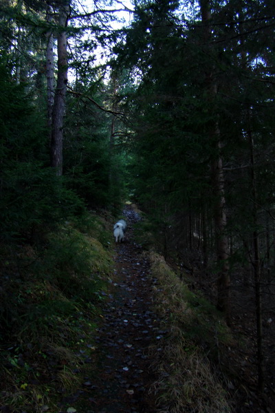 Poludnica (Nízke Tatry)