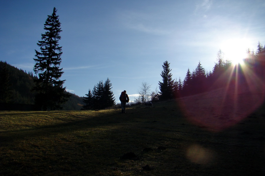 Poludnica (Nízke Tatry)