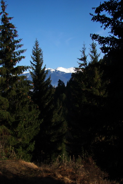 Poludnica (Nízke Tatry)