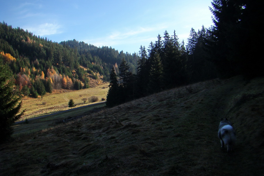 Poludnica (Nízke Tatry)