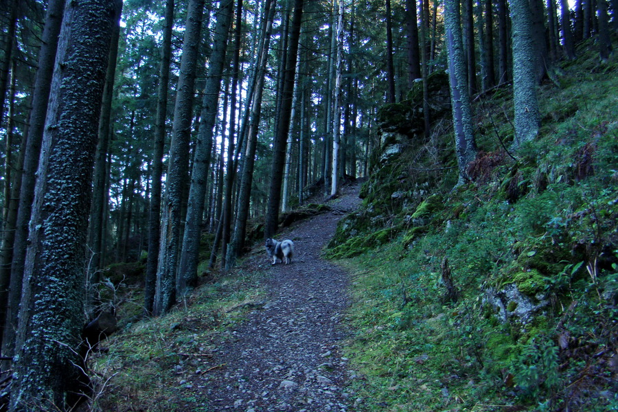 Poludnica (Nízke Tatry)