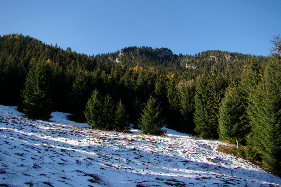 Poludnica (Nízke Tatry)