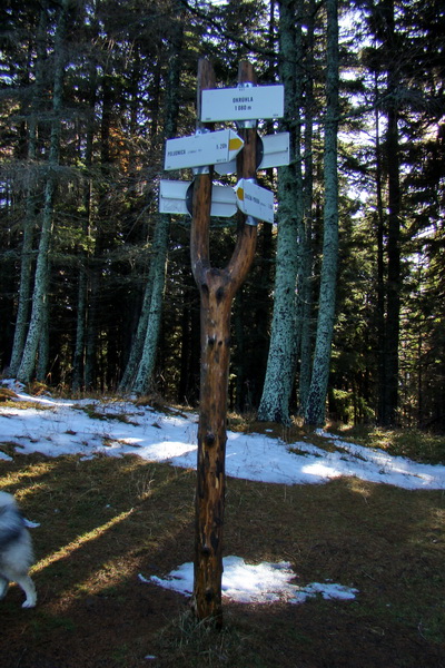 Poludnica (Nízke Tatry)