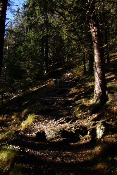 Poludnica (Nízke Tatry)