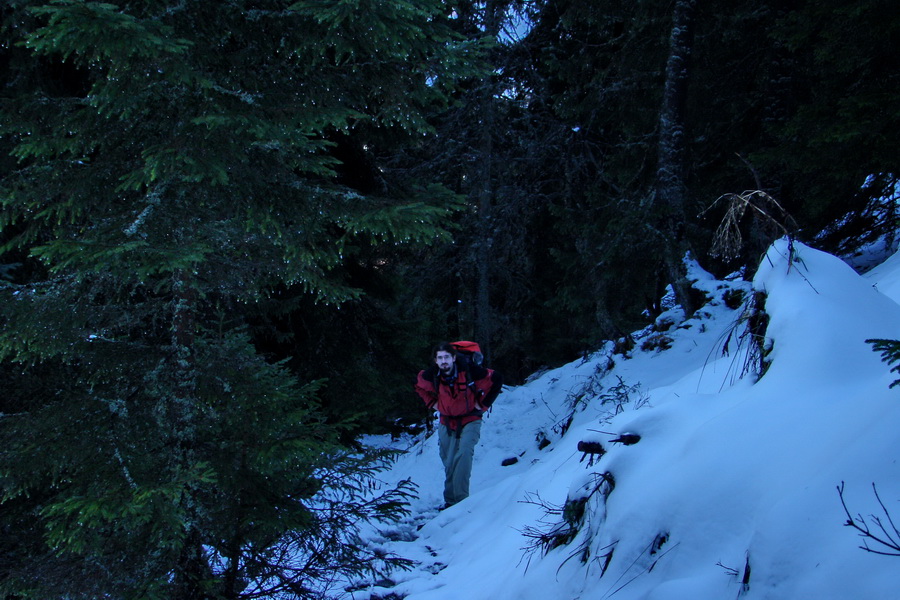 Poludnica (Nízke Tatry)