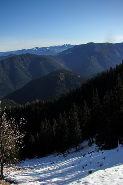 Poludnica (Nízke Tatry)