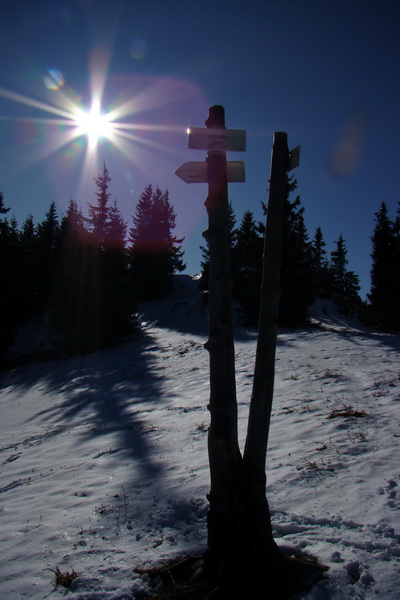 Poludnica (Nízke Tatry)