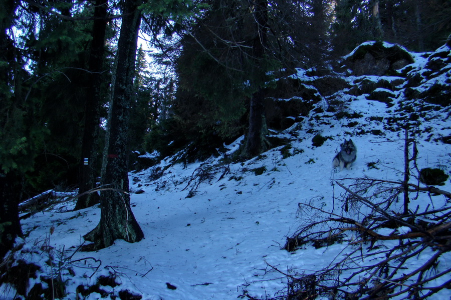 Poludnica (Nízke Tatry)