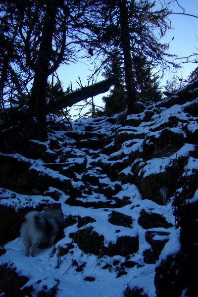 Poludnica (Nízke Tatry)