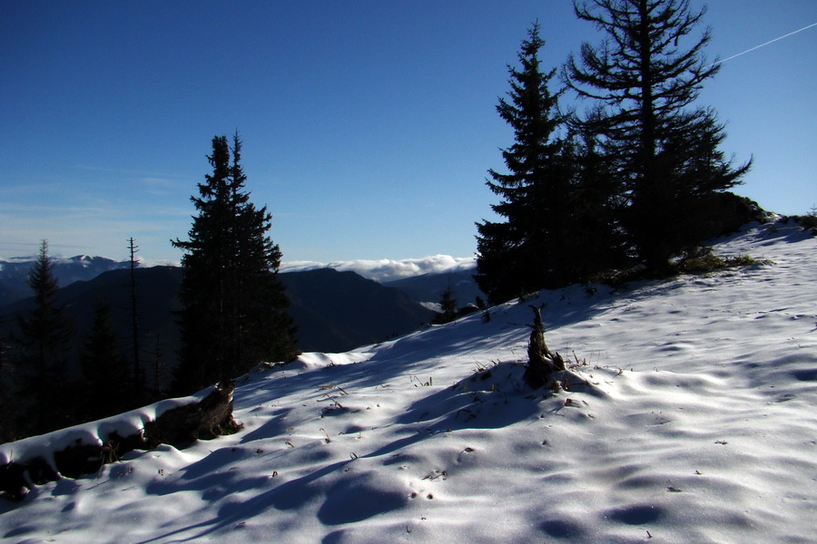 Poludnica (Nízke Tatry)