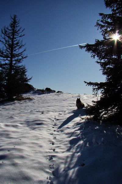 Poludnica (Nízke Tatry)