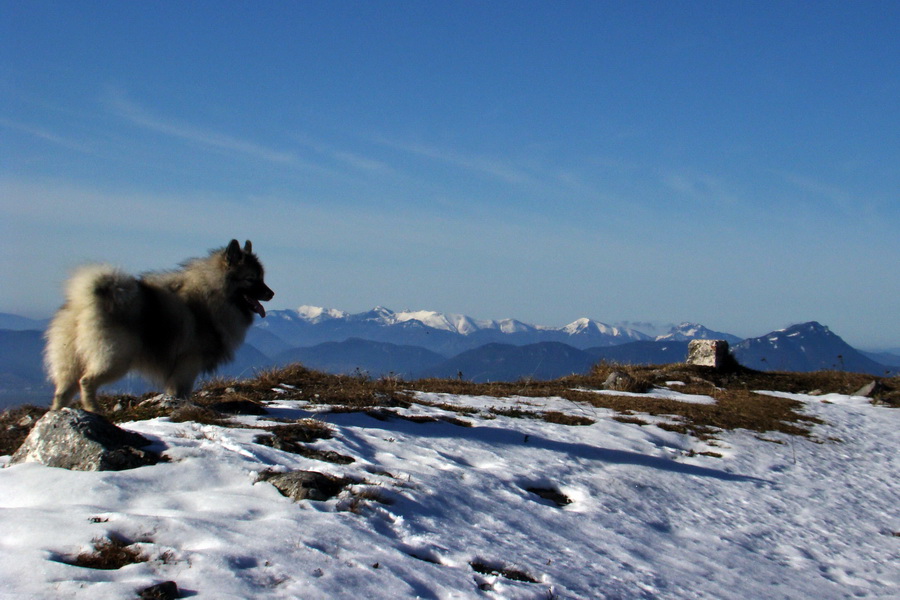 Poludnica (Nízke Tatry)