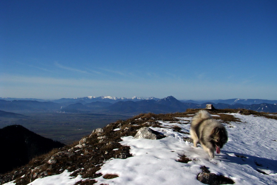 Poludnica (Nízke Tatry)