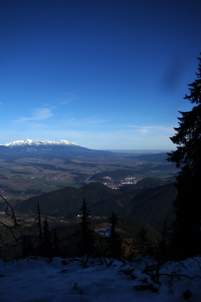 Poludnica (Nízke Tatry)