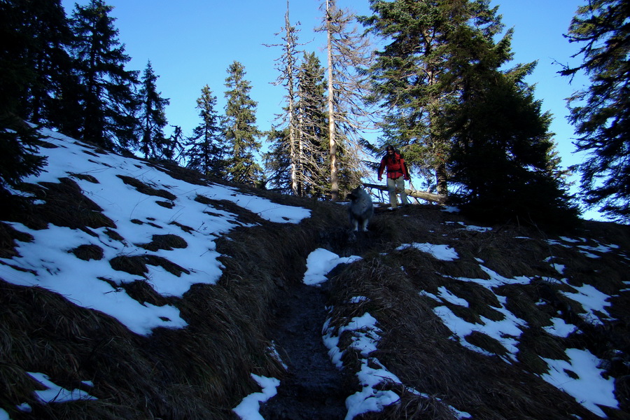 Poludnica (Nízke Tatry)