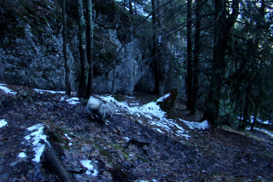 Poludnica (Nízke Tatry)