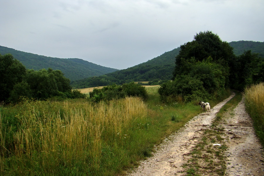 Prechod Koniarskou planinou (Slovenský kras)