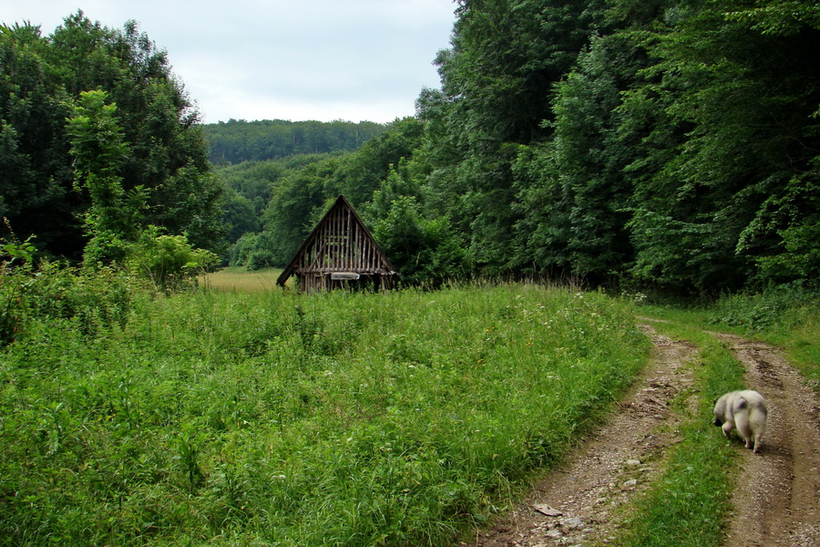 Prechod Koniarskou planinou (Slovenský kras)