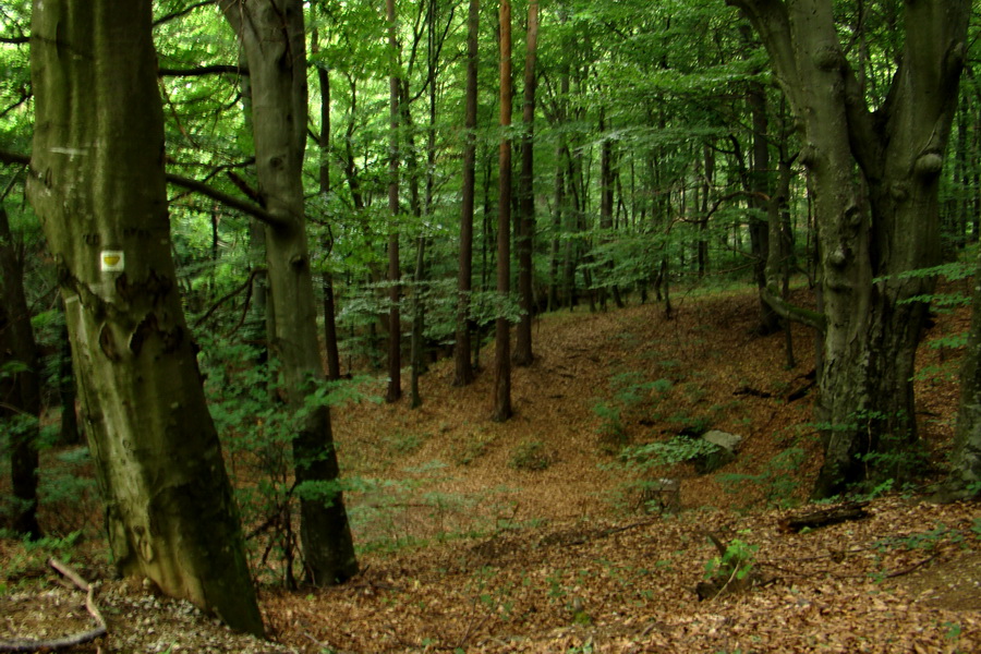 Prechod Koniarskou planinou (Slovenský kras)