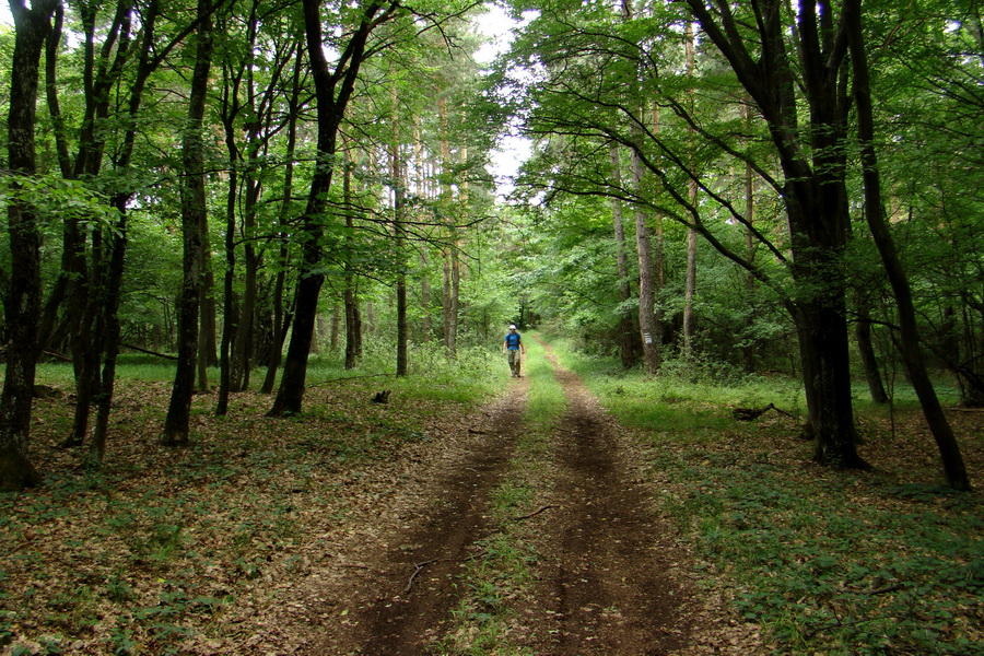 Prechod Koniarskou planinou (Slovenský kras)