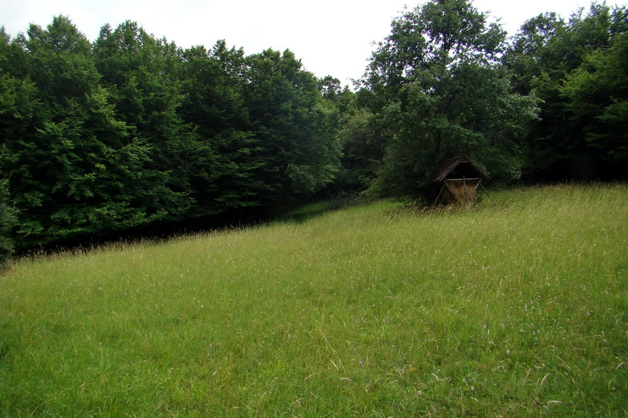 Prechod Koniarskou planinou (Slovenský kras)