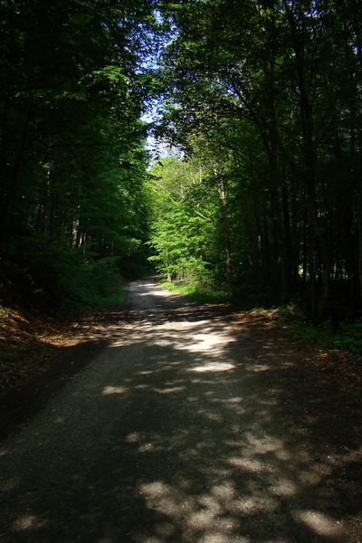 Prechod Muránskou planinou (Muránska planina)