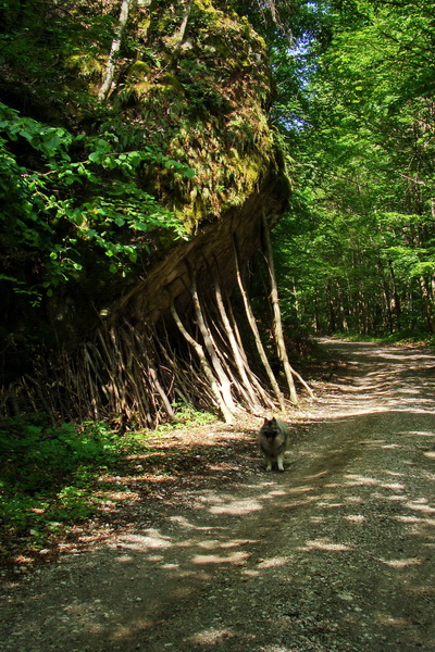 Prechod Muránskou planinou (Muránska planina)