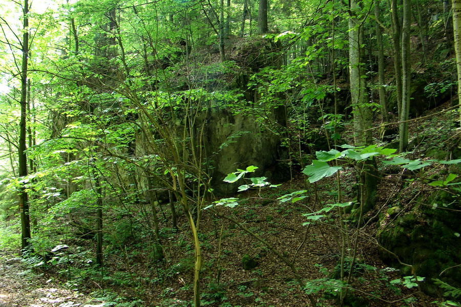 Prechod Muránskou planinou (Muránska planina)