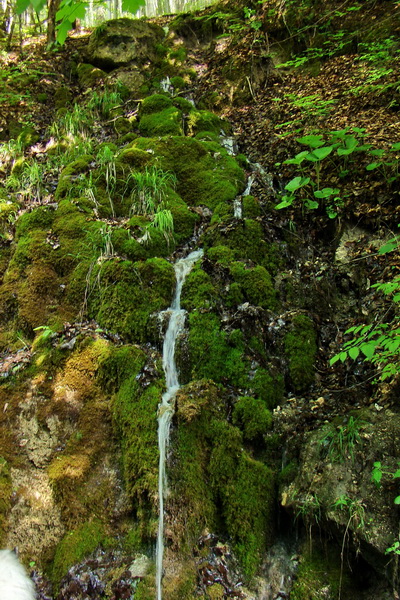 Prechod Muránskou planinou (Muránska planina)