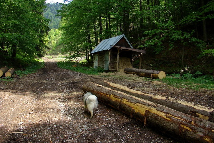 Prechod Muránskou planinou (Muránska planina)