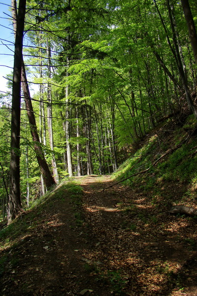 Prechod Muránskou planinou (Muránska planina)