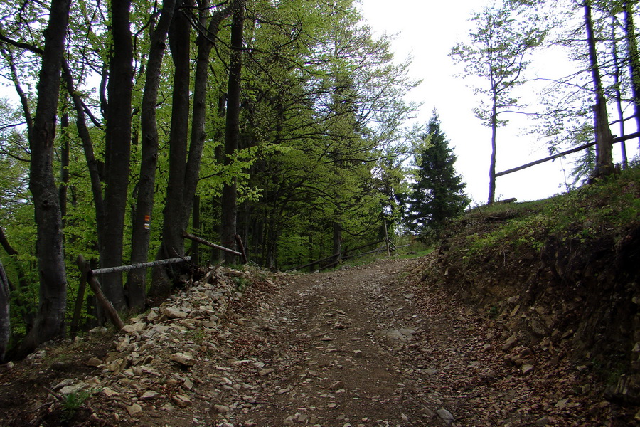 Prechod Muránskou planinou (Muránska planina)