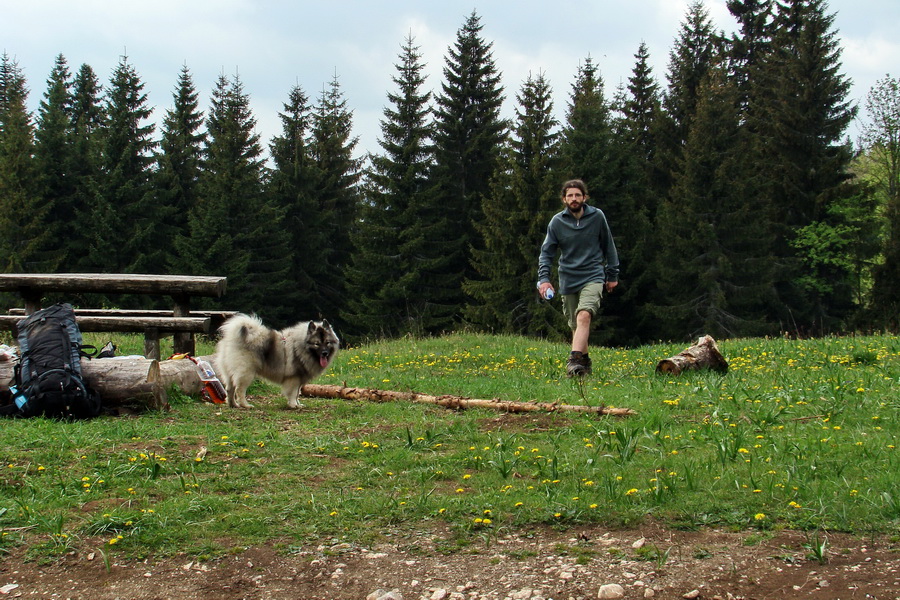 Prechod Muránskou planinou (Muránska planina)