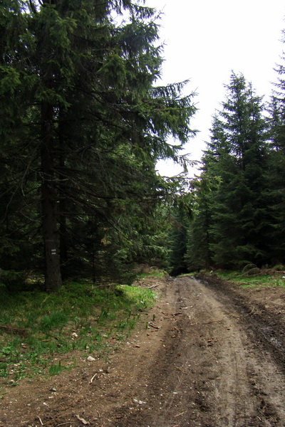 Prechod Muránskou planinou (Muránska planina)