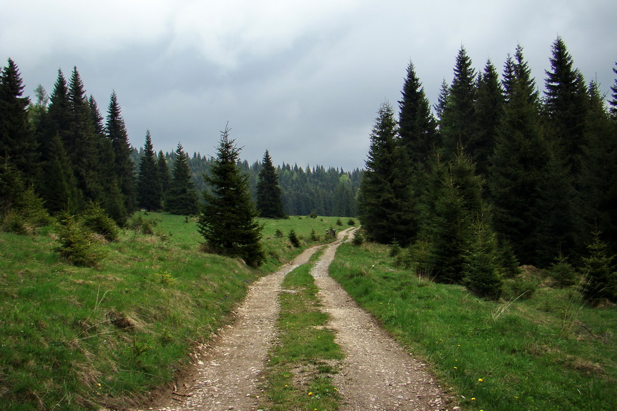 Prechod Muránskou planinou (Muránska planina)