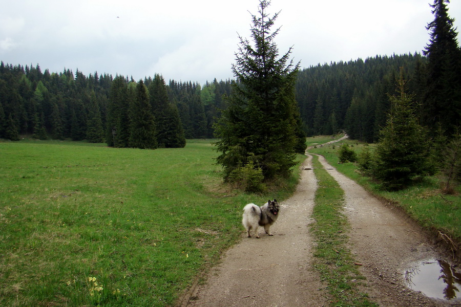 Prechod Muránskou planinou (Muránska planina)