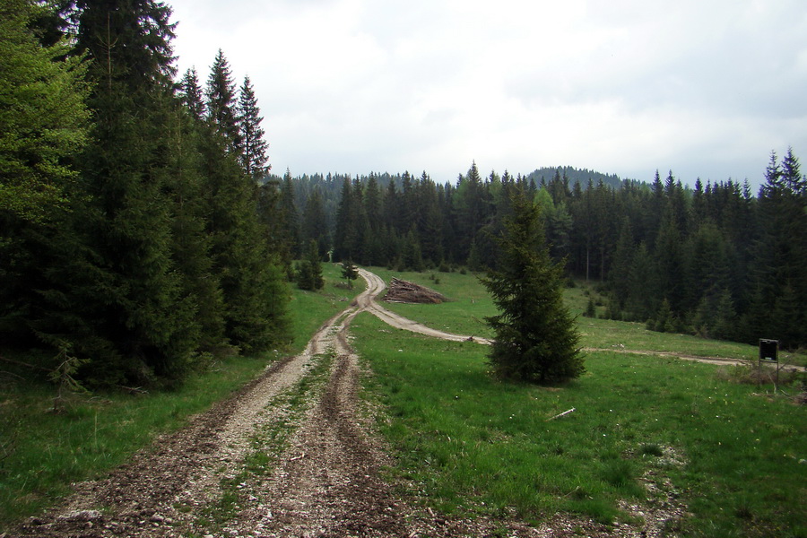 Prechod Muránskou planinou (Muránska planina)