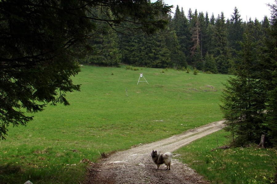 Prechod Muránskou planinou (Muránska planina)