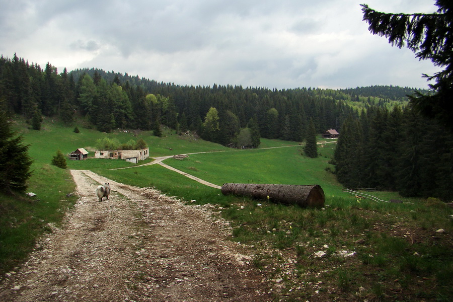 Prechod Muránskou planinou (Muránska planina)