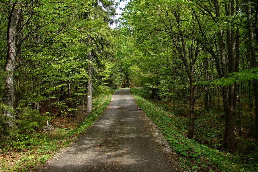 Prechod Muránskou planinou (Muránska planina)