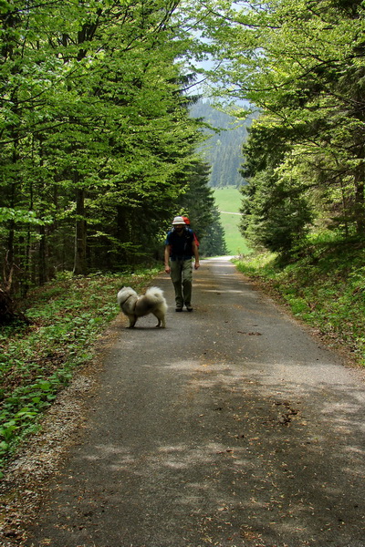 Prechod Muránskou planinou (Muránska planina)