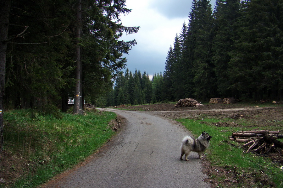 Prechod Muránskou planinou (Muránska planina)