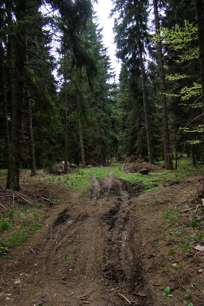 Prechod Muránskou planinou (Muránska planina)