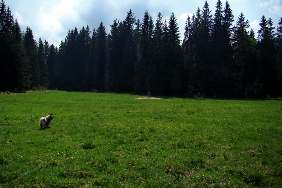 Prechod Muránskou planinou (Muránska planina)